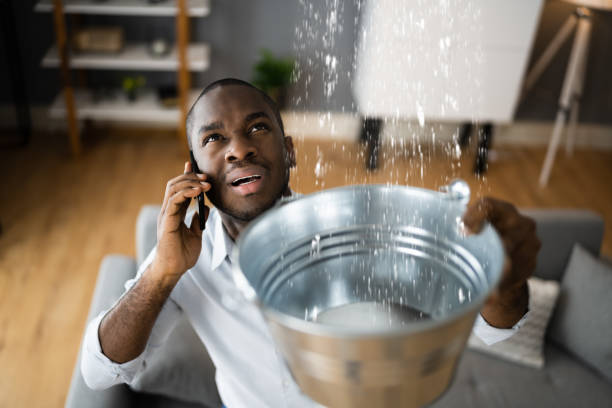 Best Local water damage restoration  in Urbancrest, OH