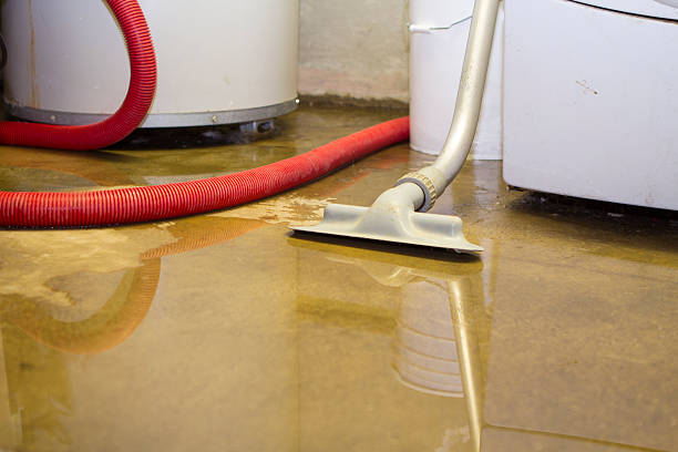 Best Local water damage restoration  in Urbancrest, OH